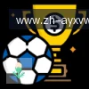 爱游戏体育 logo