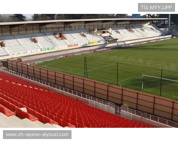 法甲球队第戎：第戎足球俱乐部的历史与法甲之旅