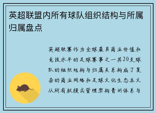 英超联盟内所有球队组织结构与所属归属盘点